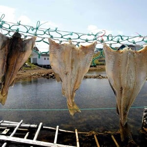 Ακολουθώντας τα (γαστρονομικά) ίχνη του μπακαλιάρου στη βόρεια Ισπανία