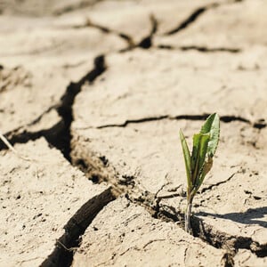 ΠΟΥ και Lancet προειδοποιούν ότι η κλιματική κρίση στοιχίζει 10 εκατ. ζωές ετησίως 