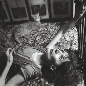 Η Σέρκα, από τη Ζυράννα Ζατέλη