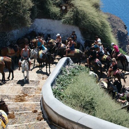 Απάντηση Βορίδη στην επιστολή διαμαρτυρίας του Tommy Lee για τα γαϊδουράκια της Σαντορίνης