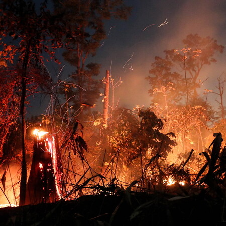 Αμαζόνιος: Οι πυρκαγιές φέτος θα μπορούσαν να αυξήσουν τον κίνδυνο κρουσμάτων κορωνοϊού
