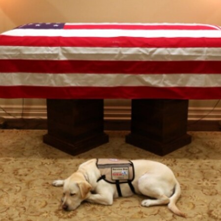 Τι απέγινε ο Σάλι, ο αφοσιωμένος σκύλος του πρώην προέδρου των ΗΠΑ, Τζορτζ Μπους;