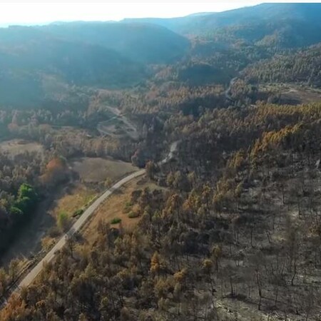Η Εύβοια μετά την πυρκαγιά - Το μαύρο αποτύπωμα της φωτιάς σε βίντεο από drone