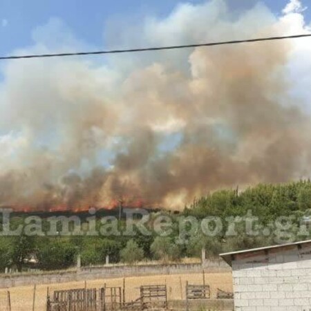 Φωτιά στη Φθιώτιδα - Κοντά σε σπίτια οι φλόγες