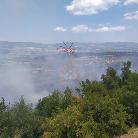Τιθορέα: Ενισχύονται οι δυνάμεις της πυροσβεστικής - Εμπρησμό καταγγέλλουν οι κάτοικοι