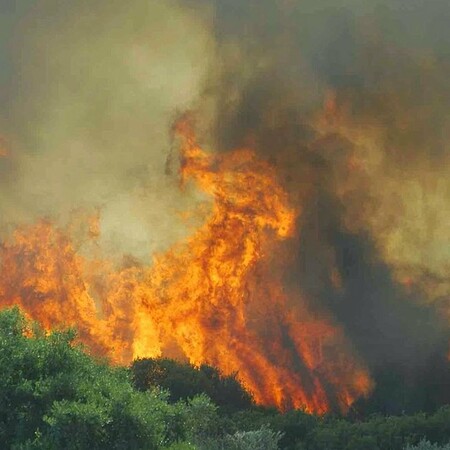 ΓΓΠΠ: Ακραίος κίνδυνος πυρκαγιάς το τριήμερο - Σε γενική επιφυλακή η Πυροσβεστική