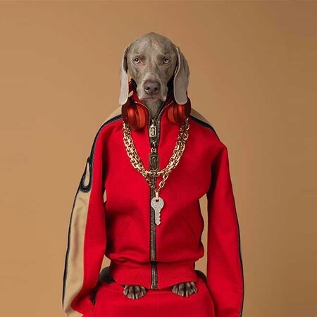 Τύφλα νά'χει ο Snoop Doggy Dogg: Σκύλοι φωγραφίζονται σαν ράπερς (και νοικοκυρές και αγρότες)