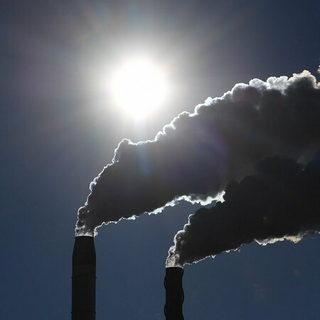 Νέα Ζηλανδία: Μηδενικές εκπομπές διοξειδίου του άνθρακα μέχρι το 2050