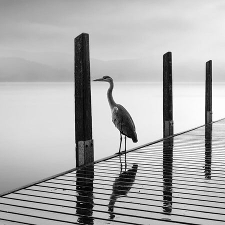 Ασπρόμαυρη γαλήνη στα μινιμαλιστικά τοπία του Γιώργου Διγαλάκη