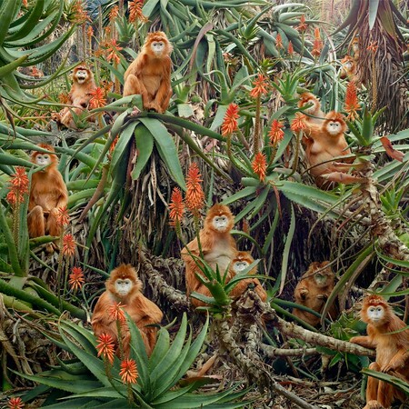 Το πλούσιο και παράξενο σύμπαν του Simen Johan