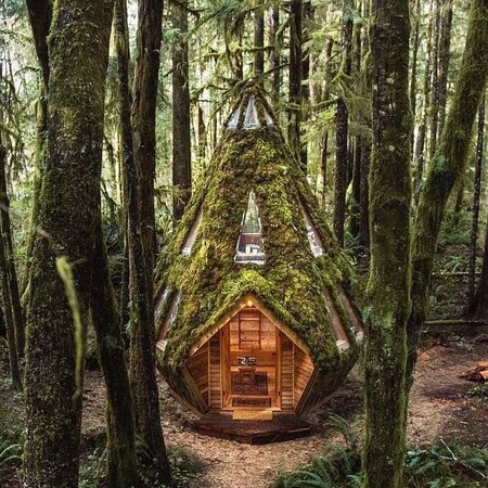Μια ξύλινη καμπίνα σε σχήμα διαμαντιού καλυμμένη από βρύα στη μέση του δάσους