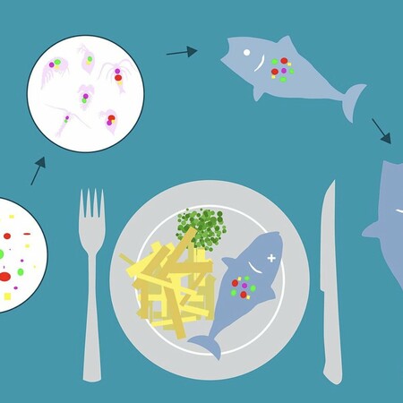 Πως να εντοπίσετε τα μικροπλαστικά μέσα στα φρέσκα ψάρια