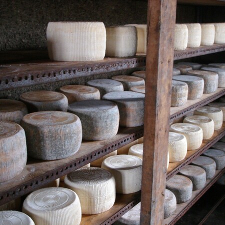 Αρσενικό Νάξου: Το τυρί που χαρίζει νοστιμιά στη ναξιώτικη κουζίνα