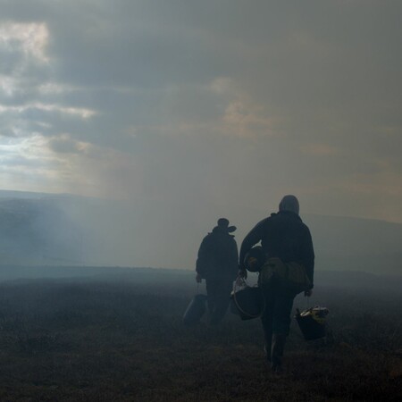 God's Own Country 2017
