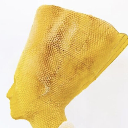 Εξήντα χιλιάδες μέλισσες «φιλοτέχνησαν» μια προτομή της βασίλισσας Νεφερτίτης