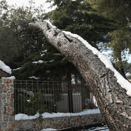 O Μητσοτάκης προανήγγειλε υπογειοποίηση καλωδίων σε κρίσιμες περιοχές