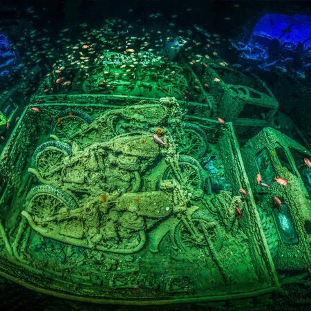 Οι πιο εντυπωσιακές υποβρύχιες φωτογραφίες του 2018