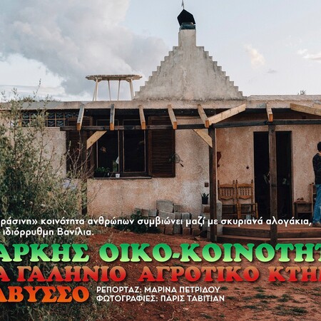 Μια αυτάρκης οικο-κοινότητα ζει σε ένα μαγικό κτήμα στην Ανάβυσσο
