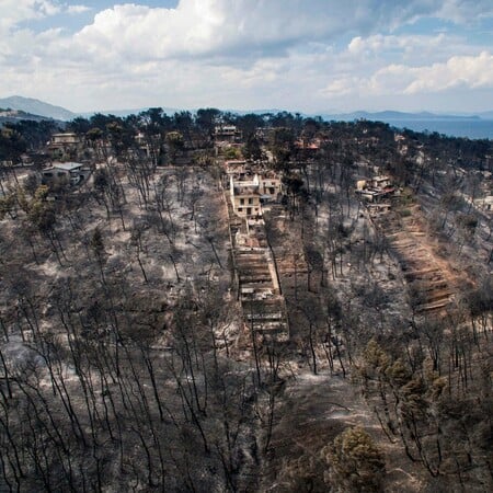 Ενώ η κυβέρνηση χαρακτήριζε την τραγωδία «υπερβολές», άρχισαν να μετριούνται πτώματα. Ήταν ήδη αργά...