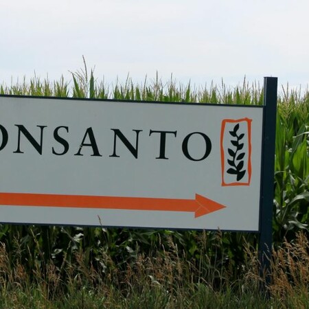 Guardian: Oι «μυστικές υπηρεσίες» της Monsanto στοχοποιούσαν δημοσιογράφους και ακτιβιστές