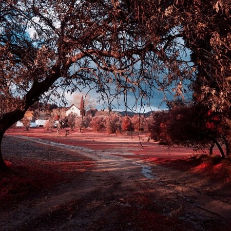 Το φίλτρο που τα έκανε όλα κόκκινα πριν από το Instagram