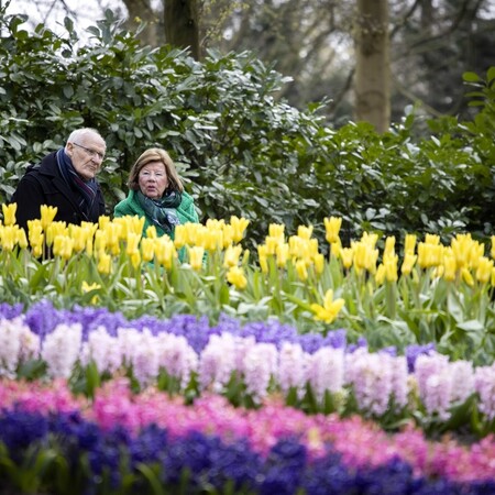 Στο Keukenhof φυτεύονται κάθε χρόνο 7 εκατομμύρια λουλούδια και ζουν για μόλις δυο μήνες