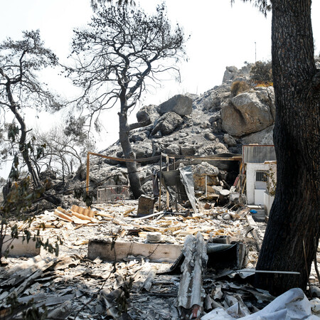 Φωτιά στο Σχίνο Κορινθίας: Καλύτερη η εικόνα, σε επιφυλακή η Πυροσβεστική - Πρώτη αποτίμηση της καταστροφής αύριο
