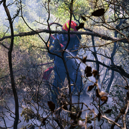 Φωτιά στον Σχίνο: Για τέταρτη μέρα καίει η πυρκαγιά στα Γεράνεια Όρη - «Μάχη» με τις διάσπαρτες εστίες 