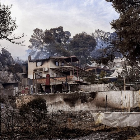Πυρκαγιά στον Σχίνο: Το πόρισμα της πρώτης μελέτης – «Κίνδυνος για πλημμύρες και κατολισθήσεις»