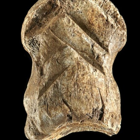 Ανακαλύφθηκε ένα από τα πρώτα αντικείμενα τέχνης στον κόσμο, ένα σκαλισμένο κόκκαλο ελαφιού