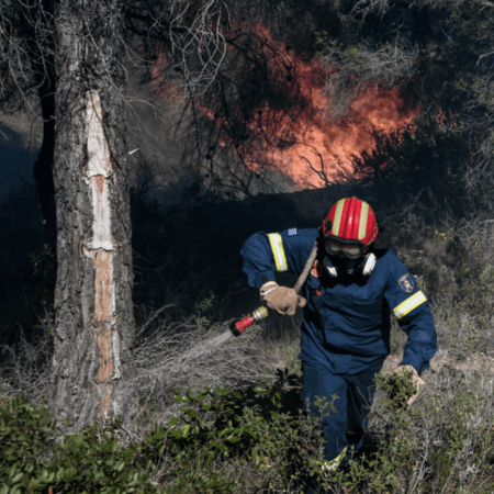 «Συναγερμός» για πυρκαγιά στη Χασιά Αττικής: Στο σημείο ισχυρές πυροσβεστικές δυνάμεις