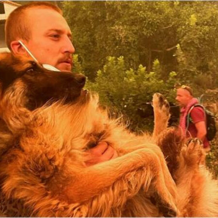 Εύβοια: Eθελοντής σώζει λυκόσκυλο που ο ιδιοκτήτης το είχε αφήσει δεμένο να καεί 