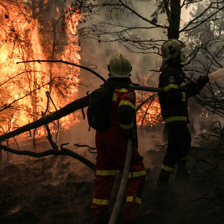 Φωτιά στη Μεσσηνία: Προφυλακίστηκε ο 30χρονος- Ελεύθερος αφέθηκε ένας 71χρονος