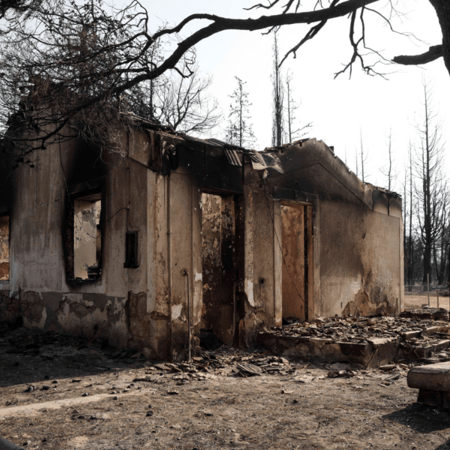 Δημοσιεύθηκε η Πράξη Νομοθετικού Περιεχομένου για τις αναδασώσεις και τα μέτρα για τους πυρόπληκτους