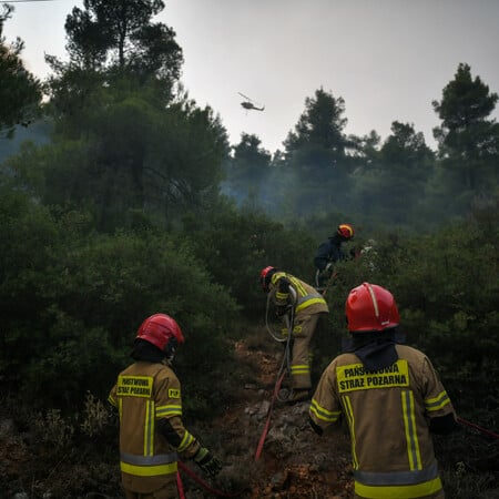 Φθιώτιδα: Αρνείται ο 14χρονος την εμπλοκή του για τις φωτιές στον Θεολόγο