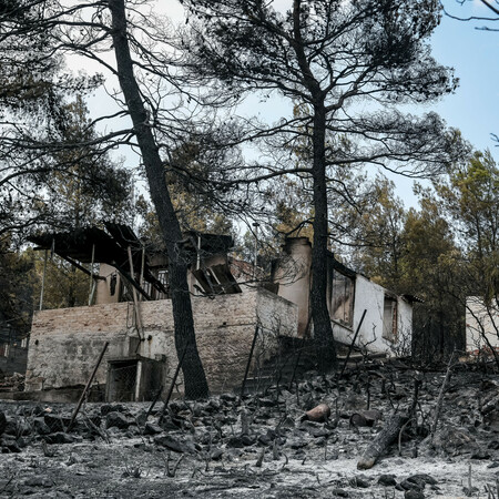 Φωτιά στα Βίλια: Στάχτη πάνω από 94.000 στρέμματα- 5.300 στρέμματα στην Κερατέα