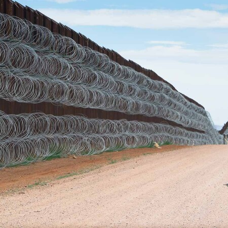 Image of bird at US-Mexico border wall wins contest