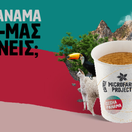 Gesha Panama: Ένας εκπληκτικός καφές φτάνει στα Coffee Island για την Παγκόσμια Ημέρα Καφέ.