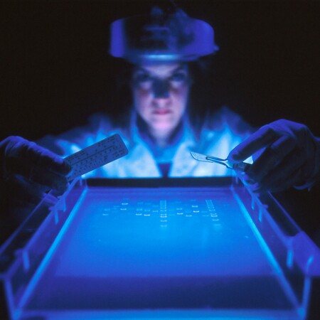 Μετάλλαξη Όμικρον: Τα τρία επικρατέστερα σενάρια για την προέλευσή της 