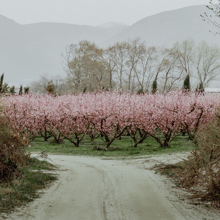 Βόλτα στη ροζ ουτοπία
