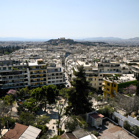 Η απάντηση του Δήμου Αθηναίων για το κλάδεμα των δέντρων: «Τα φροντίζουμε με επιστημονική γνώση»