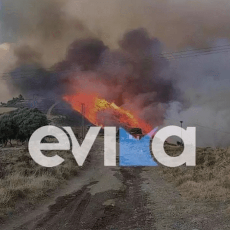 Φωτιά στην Κάρυστο: Τραυματίστηκε πυροσβέστης, άνεμοι έως 9 μποφόρ στην περιοχή