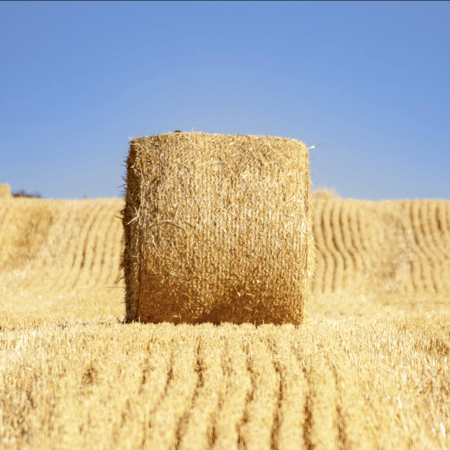 We should worry about price of food more than petrol, warns BlackRock’s Fink