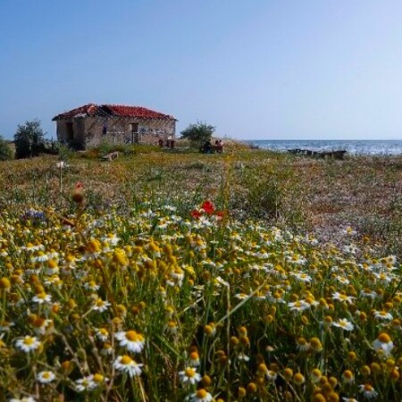 Το Σπίτι του φύλακα της αλυκής στο Αγγελοχώρι πρέπει να σωθεί