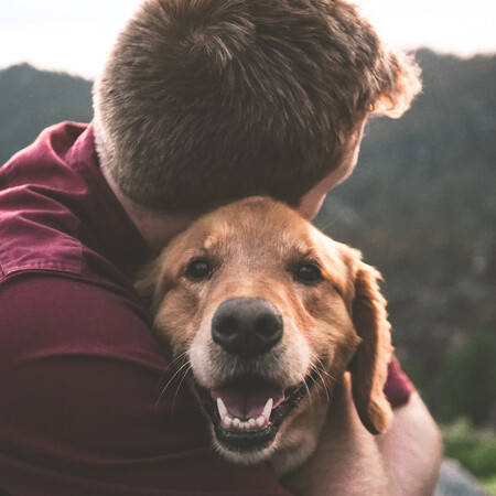 Οι σκύλοι δακρύζουν από χαρά όταν ξαναβλέπουν τους ανθρώπους τους