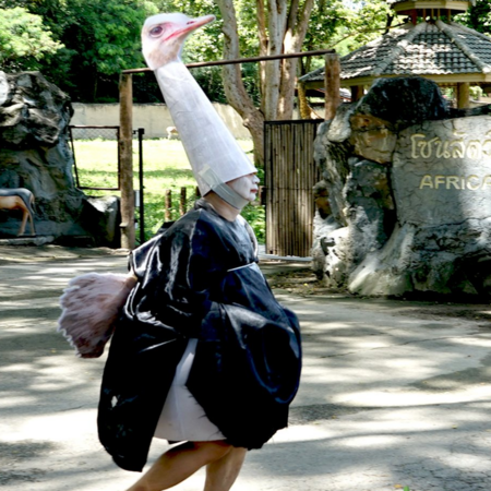 Υπάλληλος ζωολογικού κήπου ντύθηκε στρουθοκάμηλος, τον έπιασαν με απόχη- Σε άσκηση ετοιμότητας