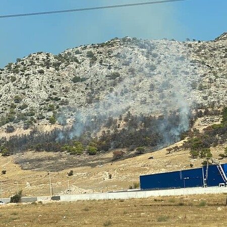 Πυρκαγιά σε δασική έκταση στη Φυλή