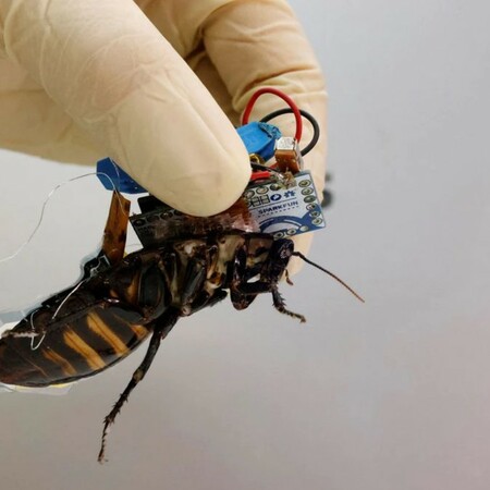 Κατσαρίδες cyborg