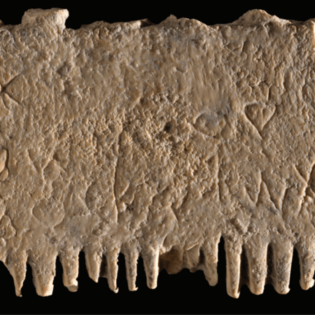 Ανακαλύφθηκε η «αρχαιότερη γραπτή πρόταση»- Σε μια χτένα για ψείρες