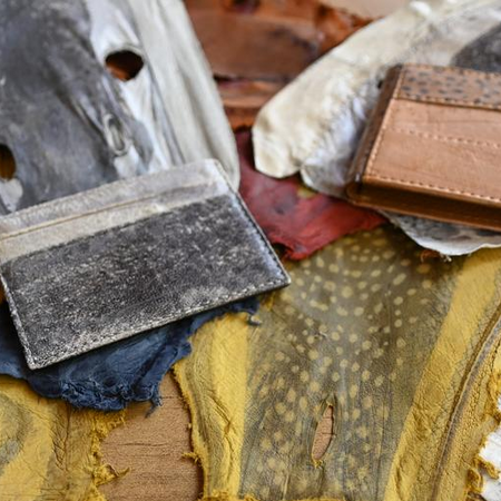 Τσάντες από δέρμα ψαριού; Η ιδέα ενός μηχανικού για να «καταπολεμήσει» τους λαγοκέφαλους